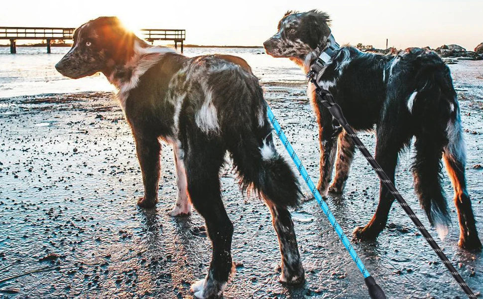 150/200/300CM Reflective Dog Leash Soft Handle Dog Leash Reinforced Leash for Small Medium Large Dogs Big Dog Supplies
